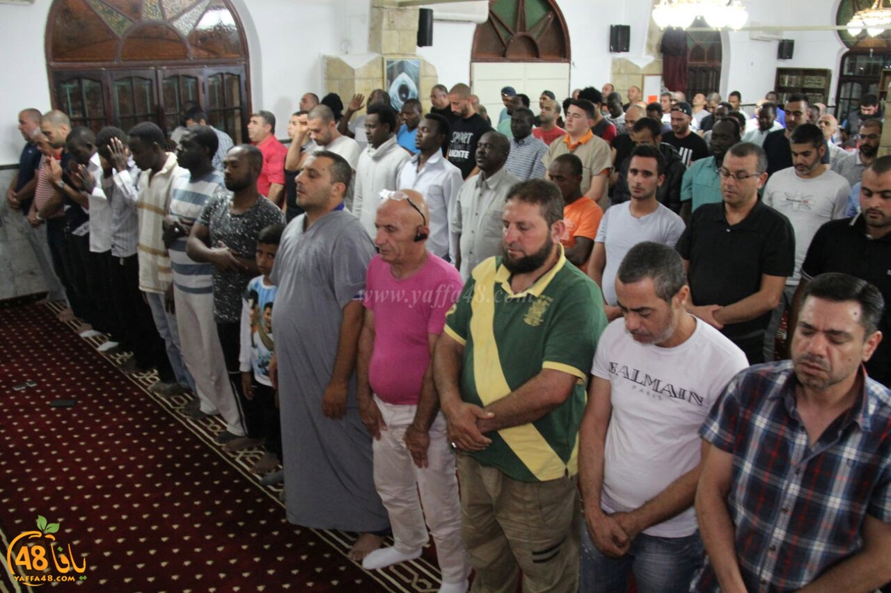 trawe7 salahsaj (7).jpg